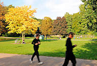 9149 Herbst im Eppendorfer Park - Bume mit strahlend gelben Herbstblttern in der Herbstsonne - Jogger laufen auf einem der Wege in der Grnanlage in Hamburg Eppendorf.